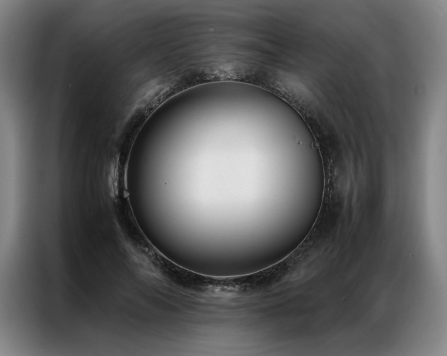 X0000087310694200704201210