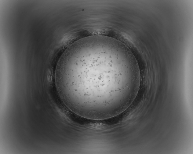 X0000087310695200704201210