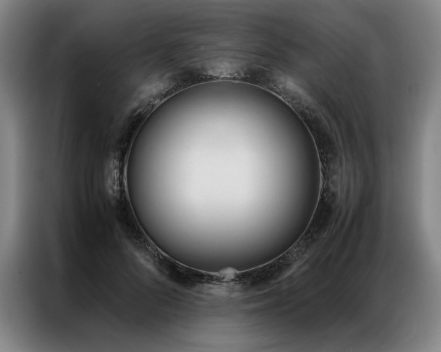 X0000087310696200704201210