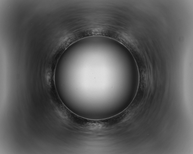 X0000087310698200704201210