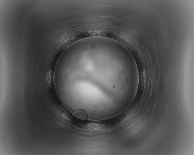X0000087310699200704201210
