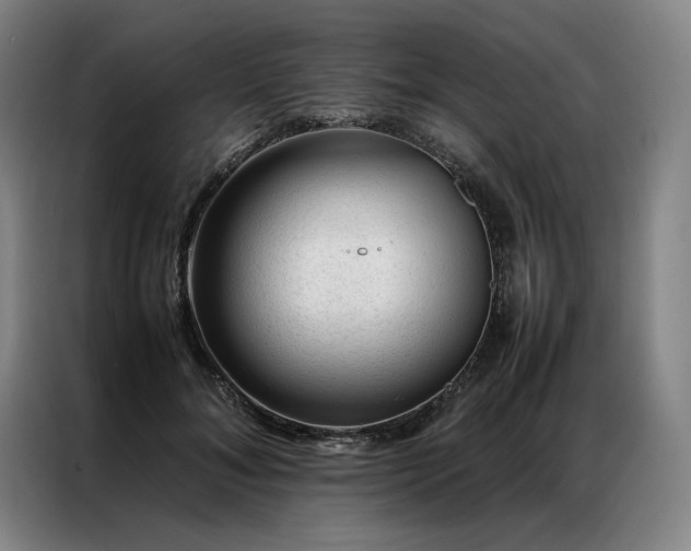 X0000087310700200704201210