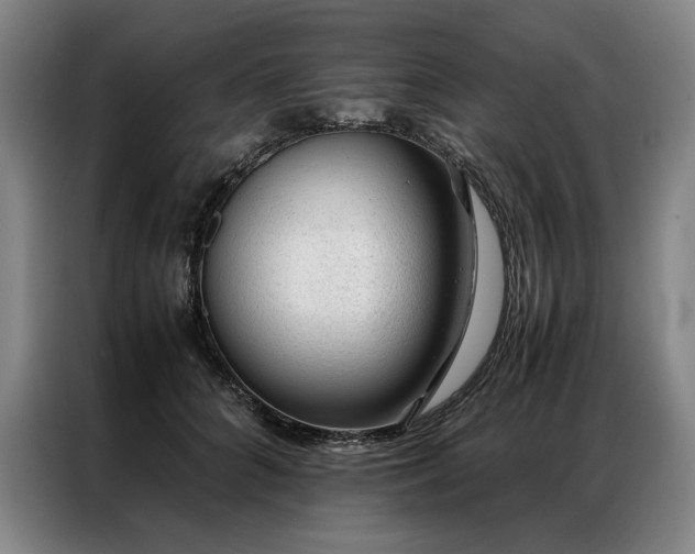 X0000087310704200704201210