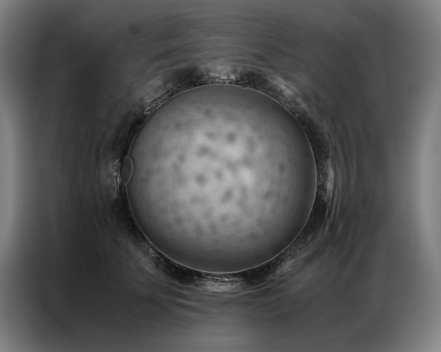 X0000087310707200704201210