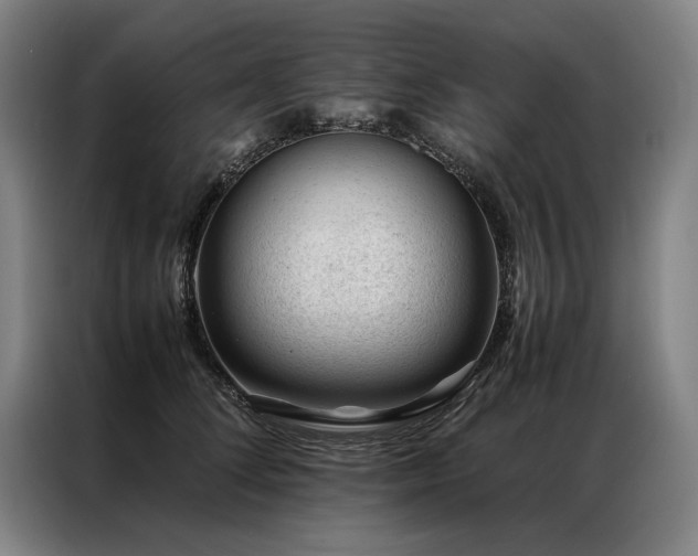 X0000087310708200704201210