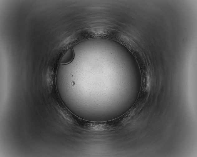 X0000087310710200704201210