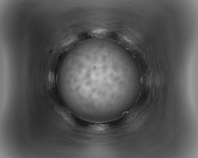 X0000087310711200704201210