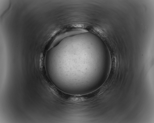 X0000087310712200704201210
