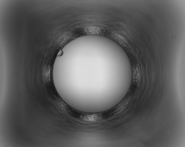 X0000087310717200704201210