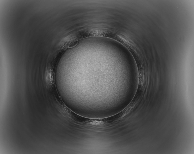 X0000087310718200704201210