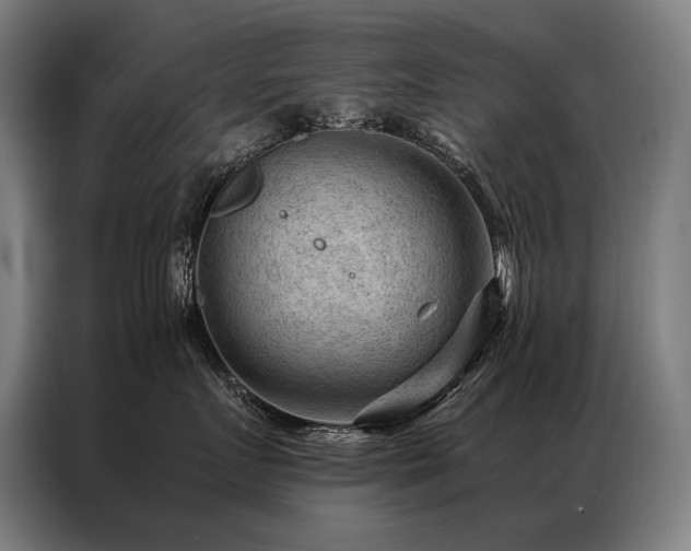 X0000087310719200704201210