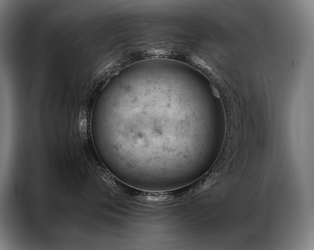 X0000087310720200704201210