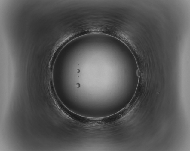 X0000087310721200704201209