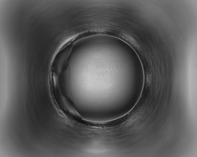 X0000087310724200704201209