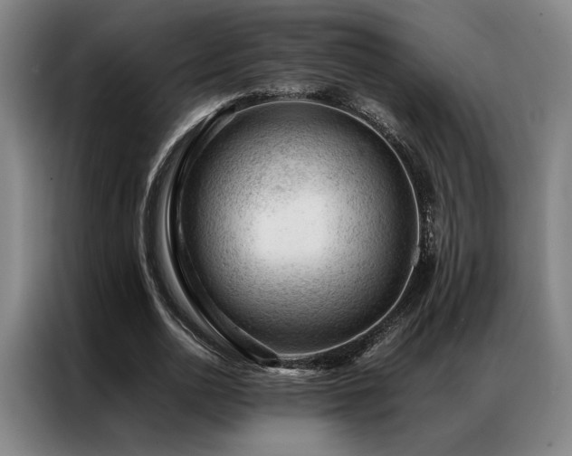 X0000087310726200704201209