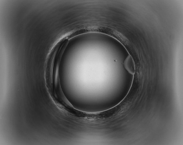 X0000087310728200704201210