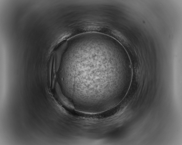 X0000087310729200704201210