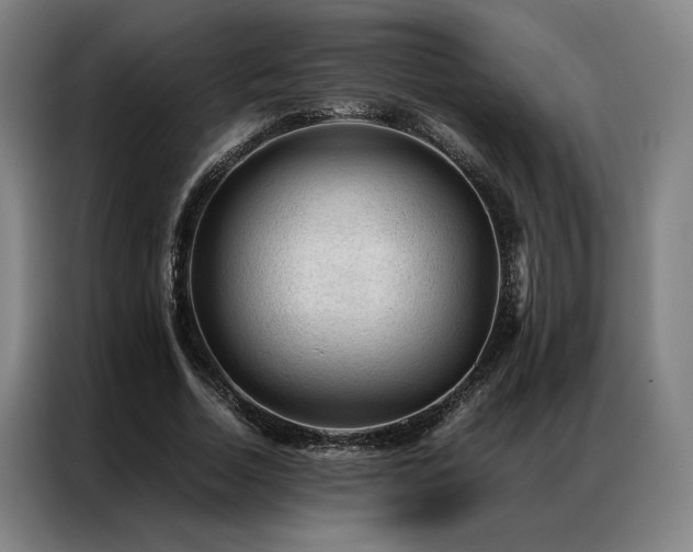 X0000087310730200704201210