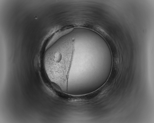 X0000087310734200704201210