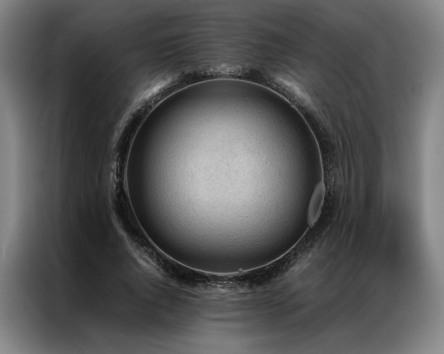 X0000087310736200704201210