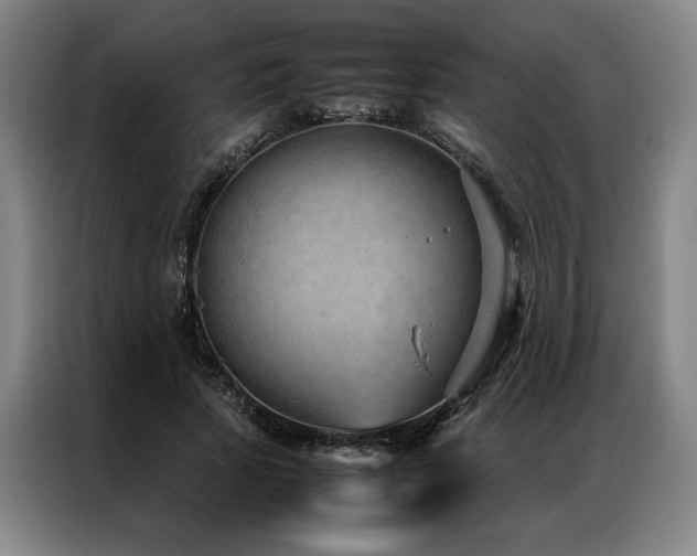 X0000087310737200704201210