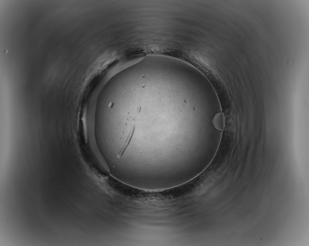 X0000087310738200704201210