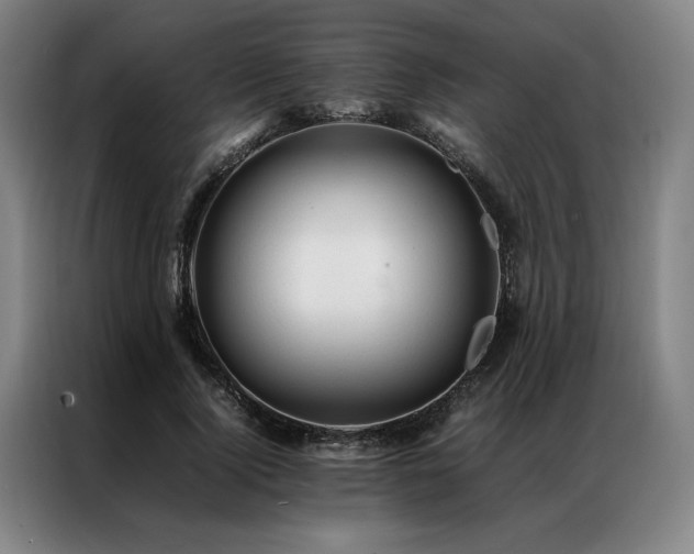 X0000087310740200704201210