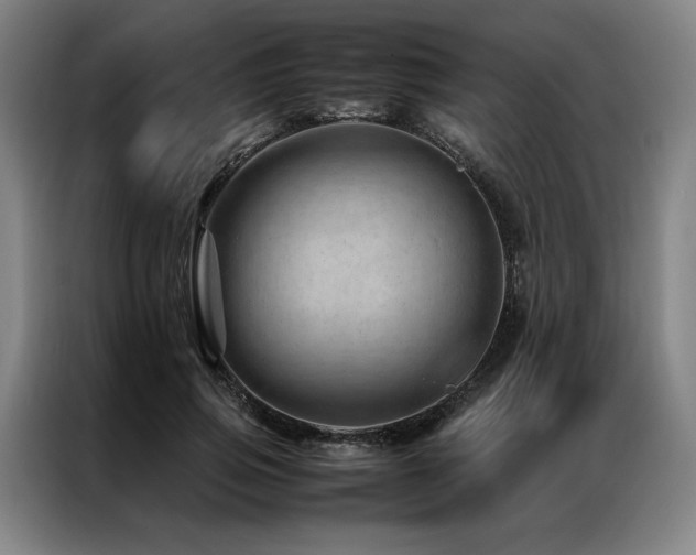 X0000087310741200704201210