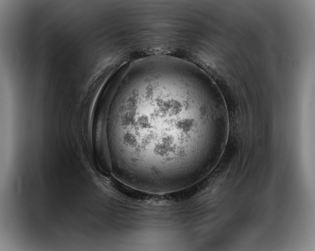 X0000087310742200704201210