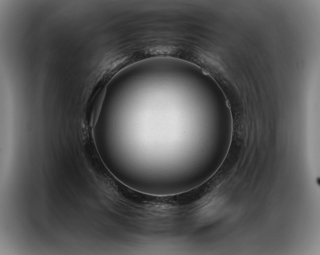 X0000087310743200704201210