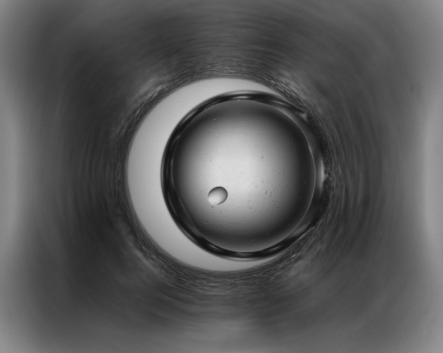 X0000087310744200704201210