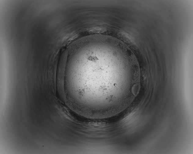 X0000087310745200704201210