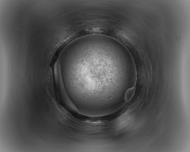 X0000087310747200704201210