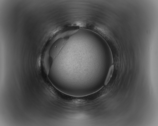 X0000087310748200704201210
