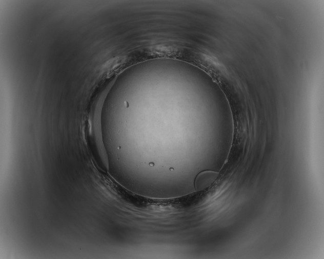 X0000087310749200704201210