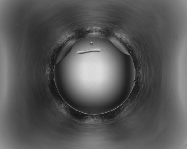 X0000087310750200704201210