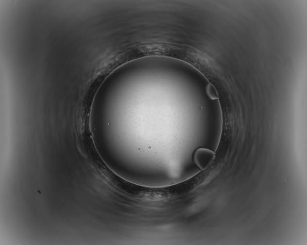 X0000087310751200704201210