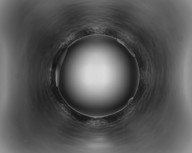 X0000087310752200704201210