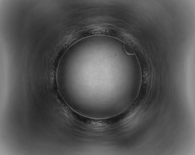 X0000087310753200704201210
