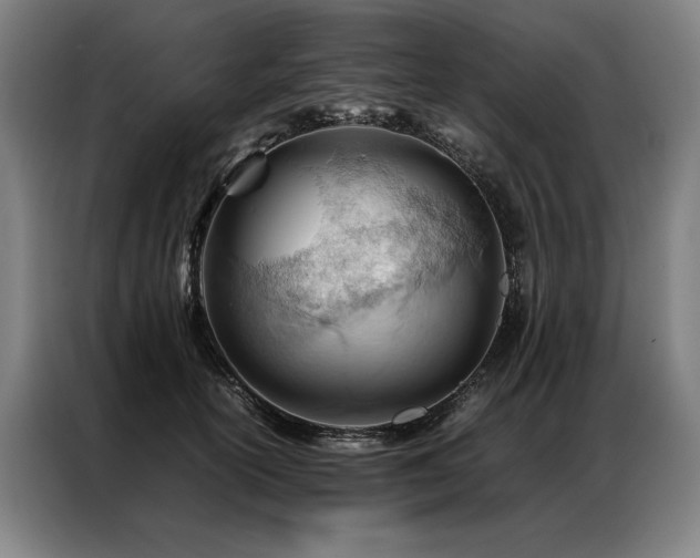 X0000087310754200704201210