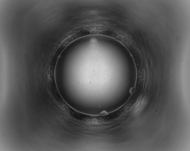 X0000087310755200704201210