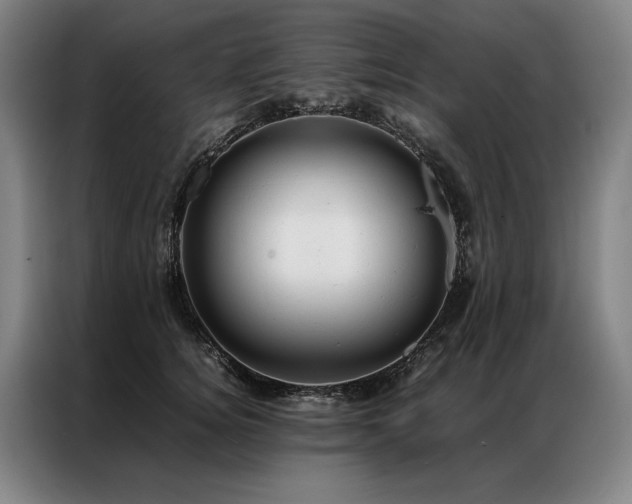 X0000087310756200704201210