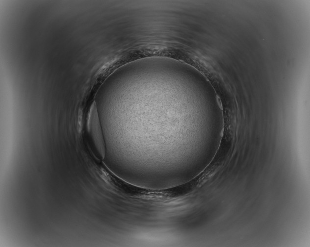 X0000087310758200704201210