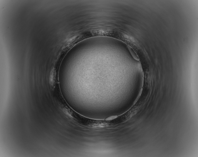 X0000087310760200704201210