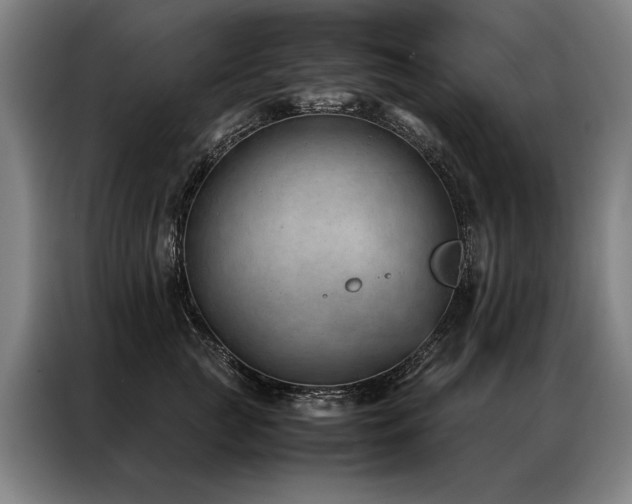 X0000087310761200704201210