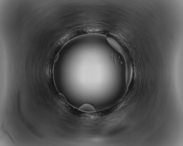 X0000087310763200704201210