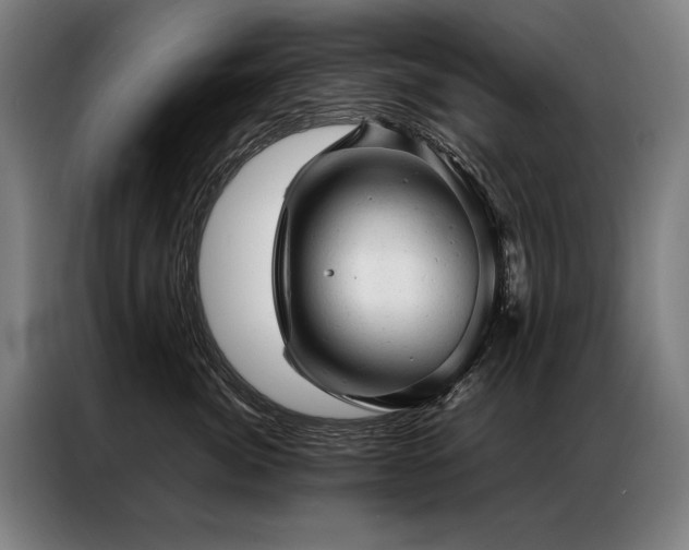 X0000087310764200704201210