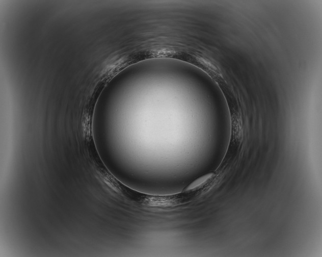 X0000087310766200704201210