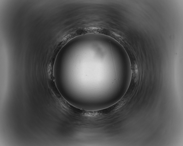 X0000087310767200704201210