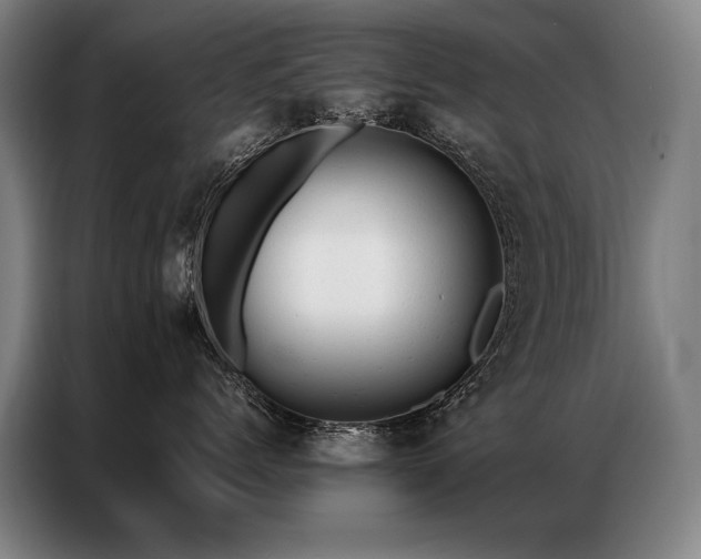 X0000087310768200704201210